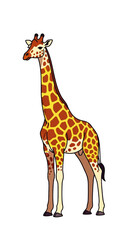 Obraz premium Playful cartoon giraffe standing tall in a simple illustration style.