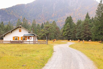 Sch&ouml;ner Herbsttag in den W&auml;ldern von Mittenwald in den Bayerischen Alpen	