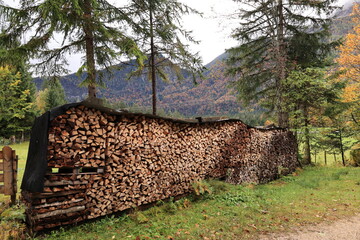 Sch&ouml;ner Herbsttag in den W&auml;ldern von Mittenwald in den Bayerischen Alpen	