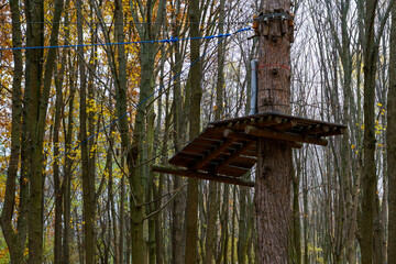 Wooden platform high in the trees inside a forest during autumn season with bare branches