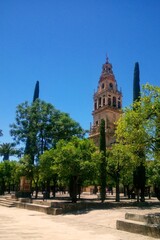 Obraz premium View of the historic Baroque bell tower in the Courtyard of the Orange Trees at the Mosque-Cathedral of Córdoba, Andalusia, Spain