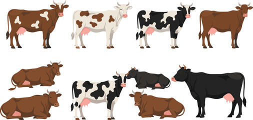 Dairy cow character collection featuring various cattle breeds and colors including brown spotted black and white cows for farm livestock vector design. © Mifta