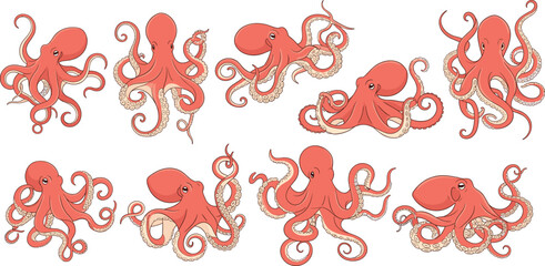 Red octopus character collection featuring cartoon cephalopod in various poses with curling tentacles for sea life ocean wildlife and flat vector design. © Mun islam