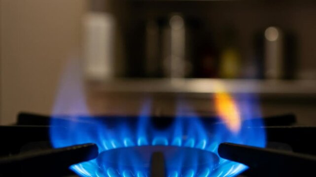 Close-up of an intense blue stove flame symbolizing domestic gas usage and rising energy prices. Close-up of burning stove flame &ndash; concept of rising kitchen gas prices