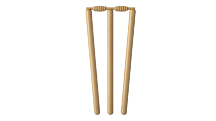 Cricket Wicket and Bails