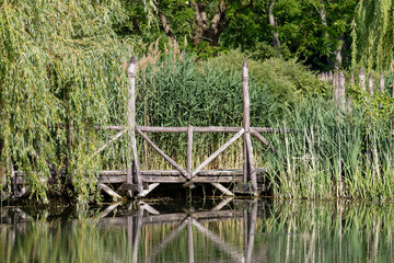 Rustic wooden pier with weeping willow branches over calm water and reeds