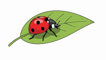 A vibrant red ladybug with black spots rests on a green leaf against a pure white background © Romi