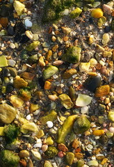 Beach Stones Natural Texture Topview.