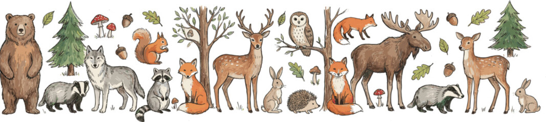 Whimsical forest animal scene with bear, fox, deer, moose, owl, and woodland elements in soft hand-drawn style for vector illustration content © Roisul