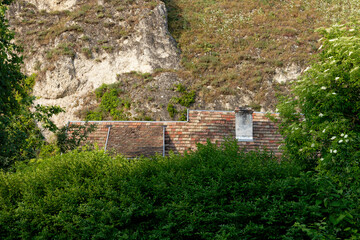 Old brick roof with chimney peeking through lush green foliage against a rocky hillside