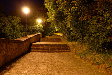 Stone staircase illuminated by vintage streetlights at night in a lush green park