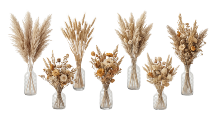 Set of 7 Dried Pampas Grass and Floral Arrangements in Glass Vases Isolated on White