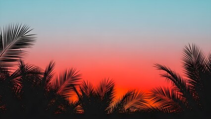 Silhouette palm fronds against sunset sky