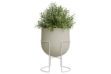 minimalist green plant in a light beige, round planter, supported by a sleek white metal stand. Isolated on a transparent background, showcasing contemporary design
