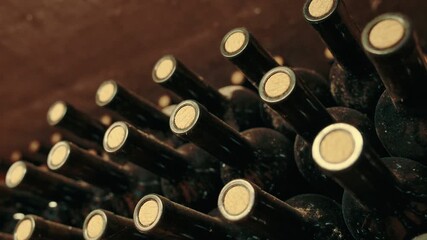 Wine bottles close-up in winery. wine bottles on the wine rack