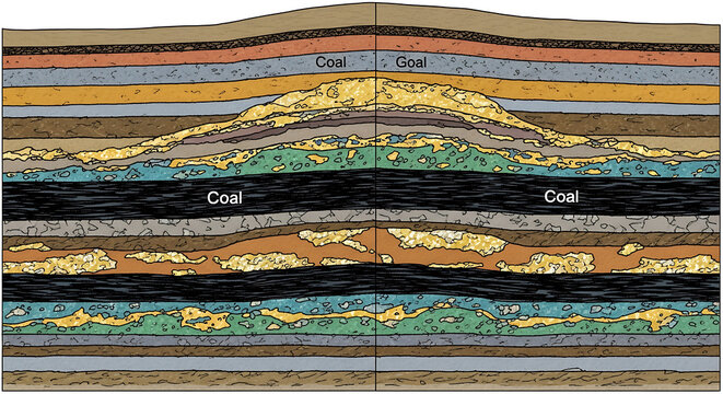 Detailed geological cross-section illustrating subsurface rock strata and significant coal deposits for earth science studies