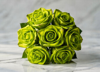 Green roses arranged on a marble surface create a unique floral display showcasing nature's colors and shapes in simple design