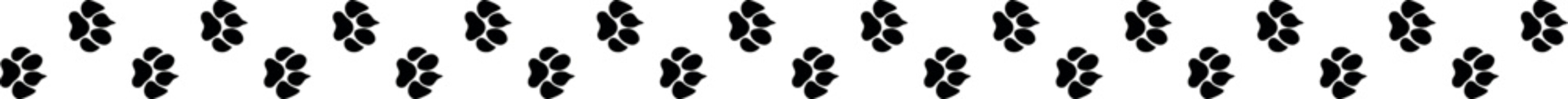 Footprints or steps of a big cat. Panther or tiger vector traces, tiger foot track in a diagonal shape, wolf, cheetah, lion footprints © Frenzy Studio