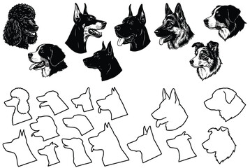 Various dog breeds and silhouettes isolated on white background, Vector, illustration