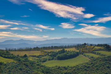 Montalcino is an Italian municipality in the province of Siena.