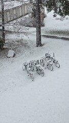 snow covered bicycles