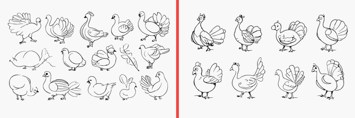 Fototapeta premium duck illustration vector, goose bird doodle art, farm bird sketch icons, waterfowl illustration set, poultry animal drawing, duck clipart collection, bird graphic elements, farm animal vector pack, du