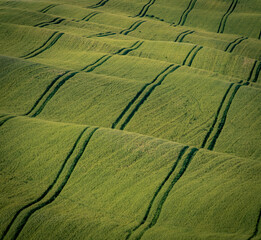 Landscapes in the Orcia Valley, Tuscany, Italy.