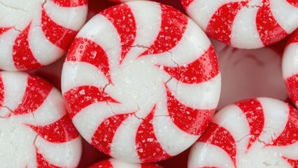 Close-up of peppermint candies