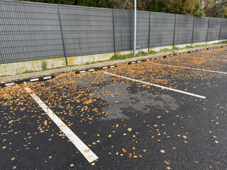 Empty parking lot spaces covered in yellow autumn leaves