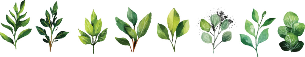 green grass vector illustration