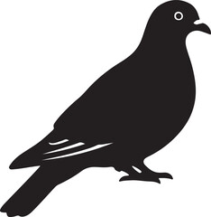 Fototapeta premium Kereru icon in silhouette white background..