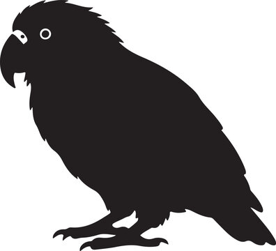 Kakapo bird icon in silhouette white background..