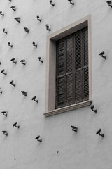 window with shutters