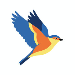 A bluebird in flight, vibrant with orange, yellow, and blue hues on white background