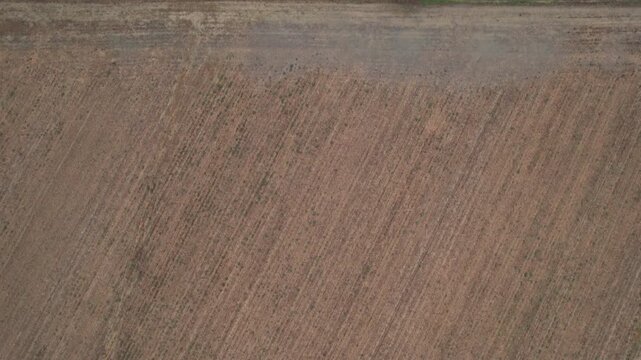 Slow aerial reveal identifies the dark, saturated furrows of a plowed field in the Po Valley, where a week of heavy rain has transformed the silty clay substrate into a waterlogged mosaic PC Italy