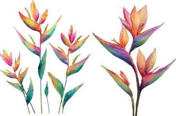 vector illustration of a flower