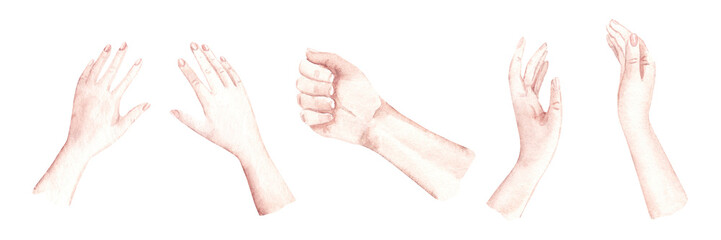 Woman and Man Hands set. Watercolor hand gesture collection with open palm, fist and expressive poses. Perfect for romantic card, wedding design, love message, invitation and social media visuals.