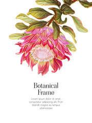 Tropical frame with protea flower. Botanical template with an elegant branch of an exotic plant. Floral decoration for cards and invitations