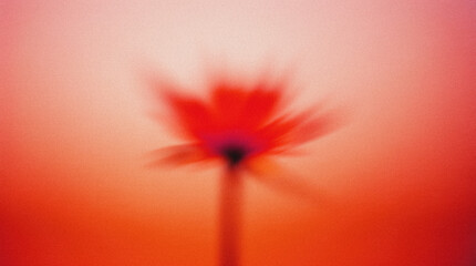 Blurred red flower against a soft gradient background, creating an abstract visual effect, emphasizing the beauty of nature and the essence of floral artistry in a dreamy atmosphere