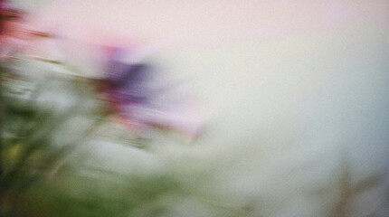 Abstract floral composition featuring blurred flowers in soft pastel colors, creating a dreamy atmosphere with gentle hues and a sense of tranquility, ideal for backgrounds and artistic projects