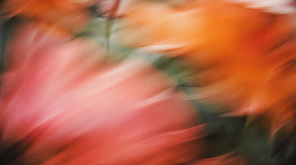 Abstract floral background with vibrant colors in motion, showcasing a blend of orange and pink hues, creating a dreamy and soft atmosphere for artistic design and visual storytelling