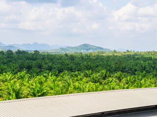 Roof factory view natural background.  Green industry sustainable manufacturing. Industrial carbon reduction and energy saving factory technology concept. Clean air pollution environmental protection 