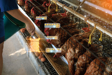 A brown laying hen is pictured inside a battery cage, representing the stark reality of commercial...
