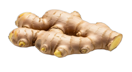 Close up macro photograph showcasing a fresh raw ginger root with pale beige skin and visible growth nodes on transparent background
