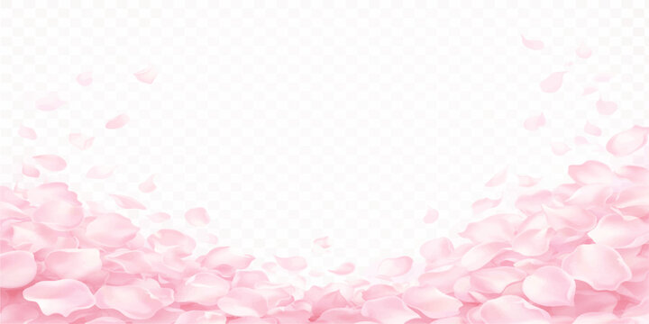 Pink floral frame design with rose petals background for spring wedding greeting card illustration