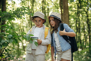 Boy and girl are exploring plants in the forest