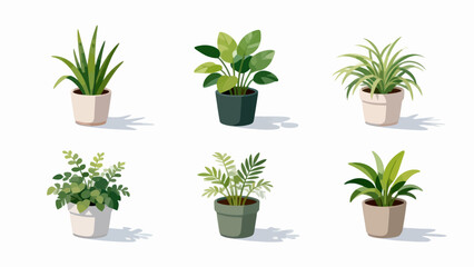 Fototapeta premium Six potted plants in various styles