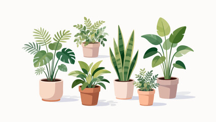Fototapeta premium Potted plants collection