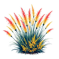 Vsai pampas grass plant vector illustration on white