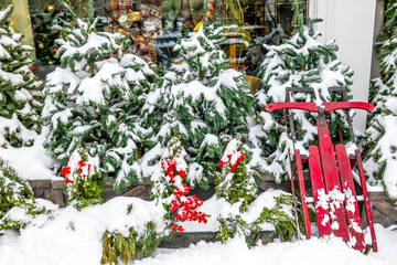 Winter in New England